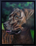 Nicolette Oosterhof, airbrush op kleitablet, hond, inlijsten